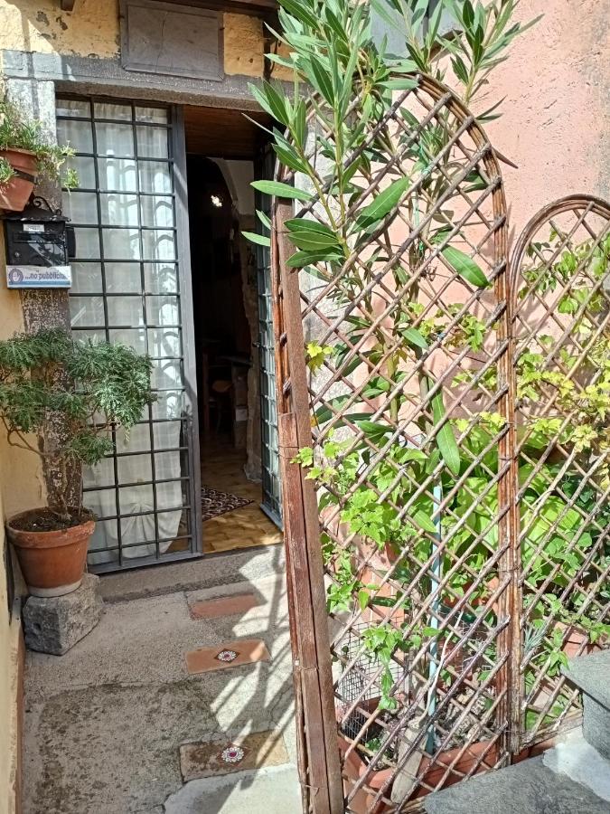 B&B Bellavista Bagnoregio Exterior photo