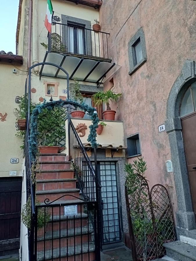 B&B Bellavista Bagnoregio Exterior photo