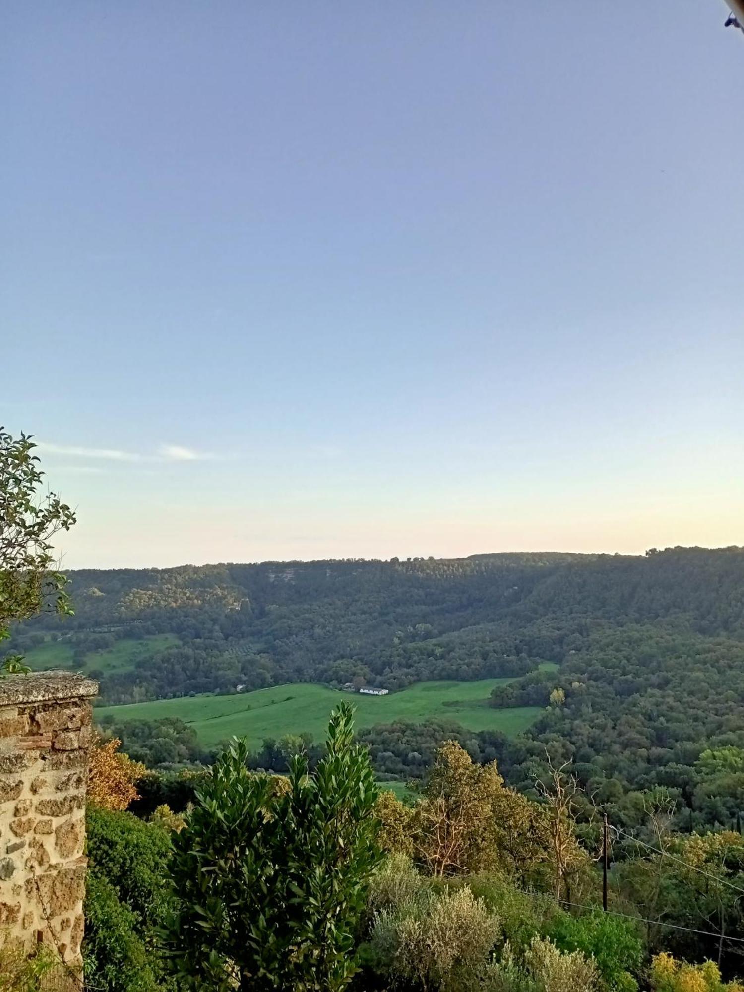 B&B Bellavista Bagnoregio Room photo